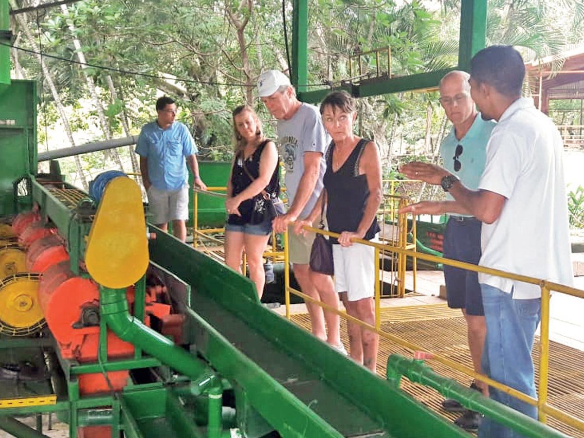 "Coffee Tour in Costa Rica: Visitors exploring a lush coffee plantation and learning about the coffee-making process."